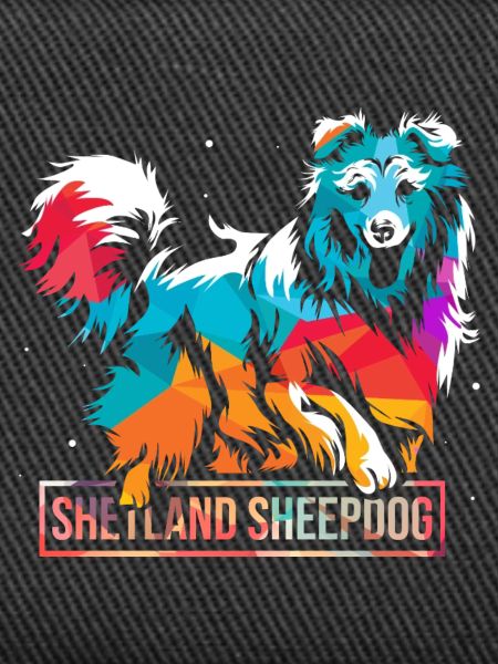 Wachsamer Sheltie Hütehundprofi