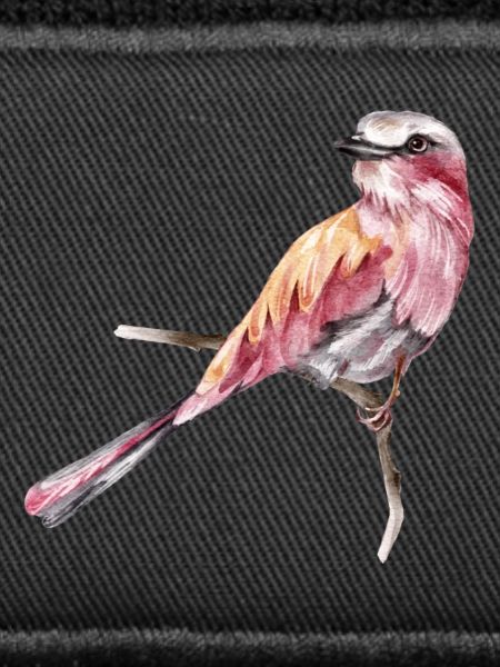 Vogel
