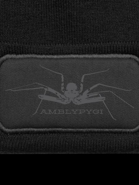 Geißelspinne - Amblypygi