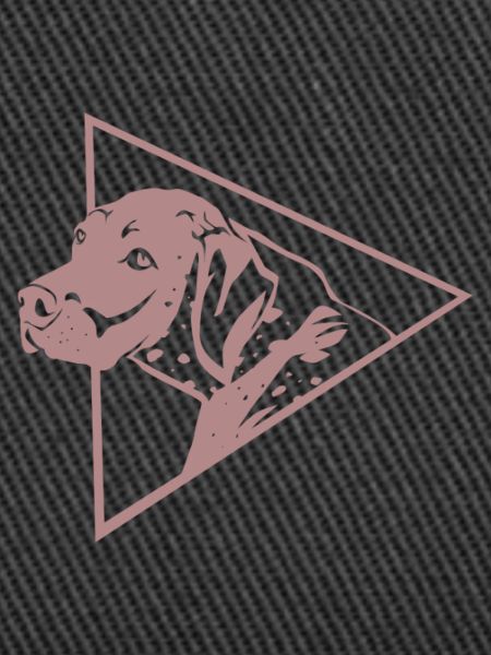 Flinker Deutsch Kurzhaar Jagdhund