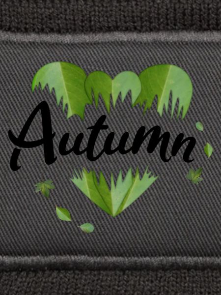 Herbst Herbstblätter Blätter
