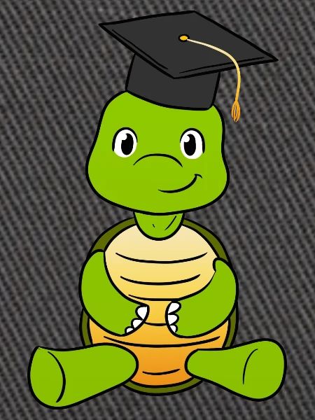 Graduation Turtle