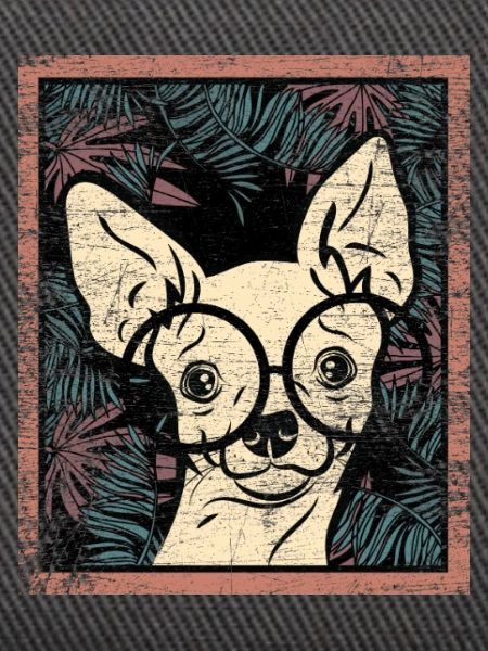 Munterer Chihuahua Spaziergang