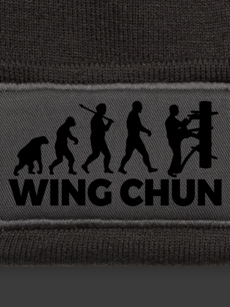 Wing Chun-Entwicklung