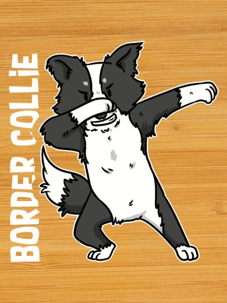Pfiffiger Border Collie Schafhüter