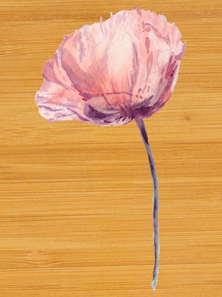 Blume