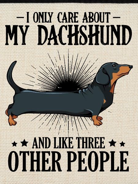 dachshund