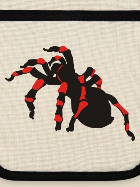 spinnen