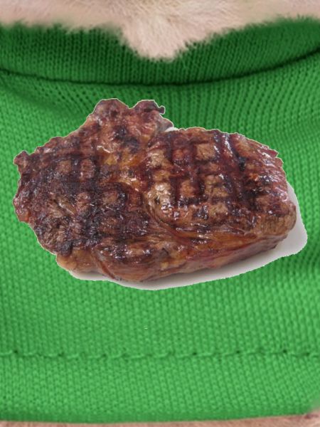 Steak