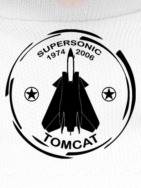 Plane F14 Tomcat