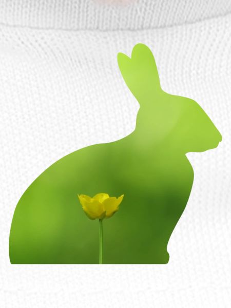 Hase