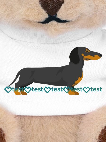 Dachshund Picture