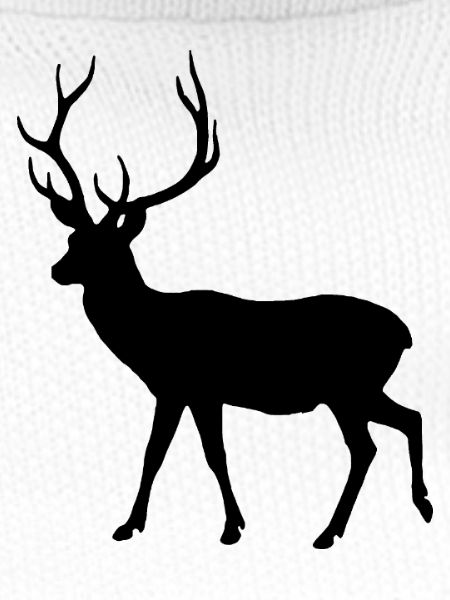 Hirsch