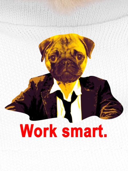 work smart mops