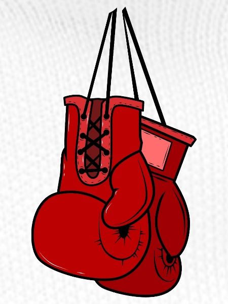 Boxhandschuhe