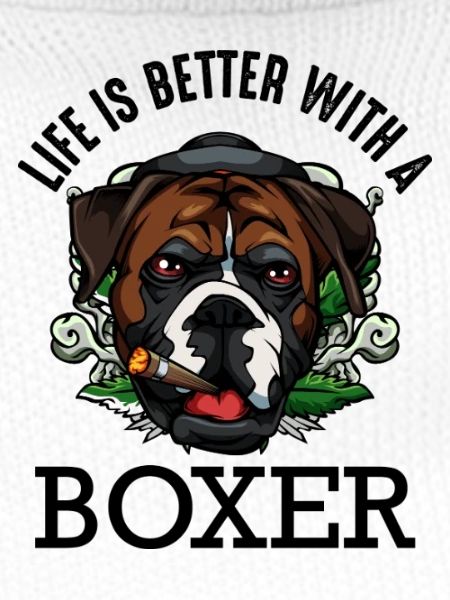 boxeur