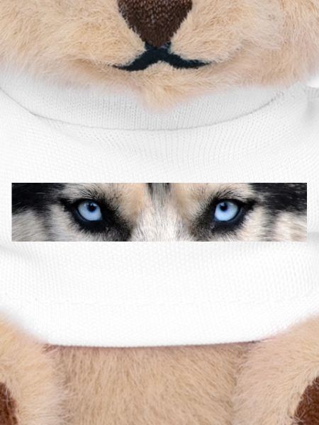 Husky Augen