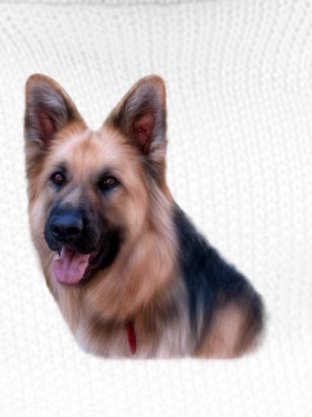 Deutscher Schäferhund