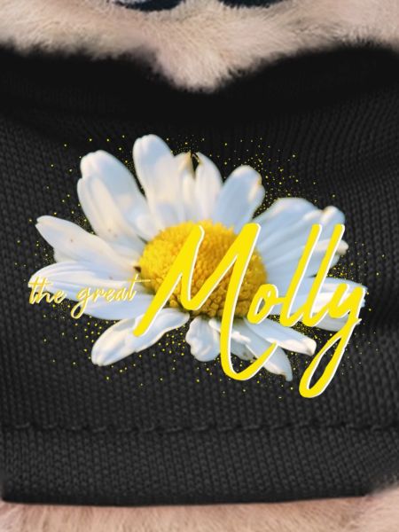 Molly