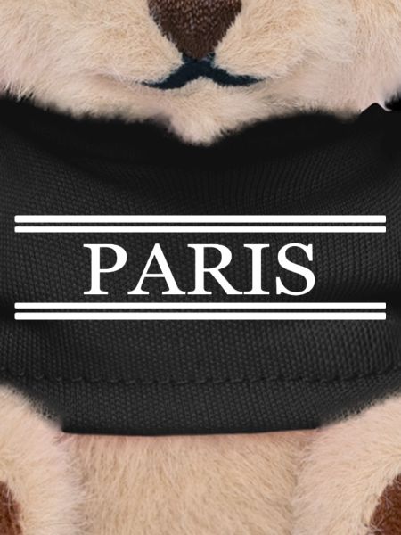 Paris France Chic