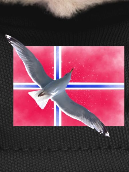 Norwegen Norge