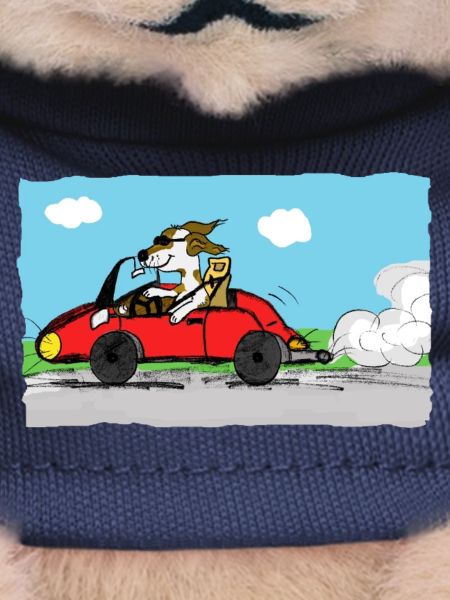 rennfahrer
