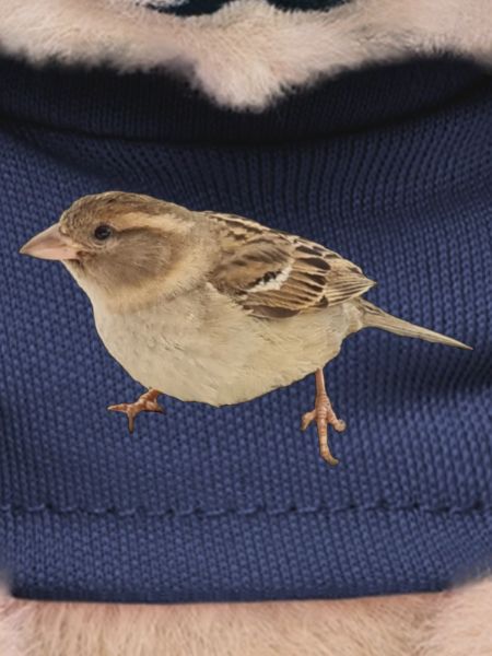 Vogel