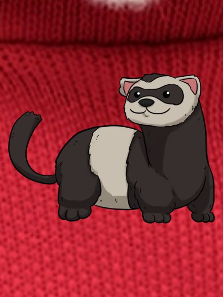 Ferret Frettchen
