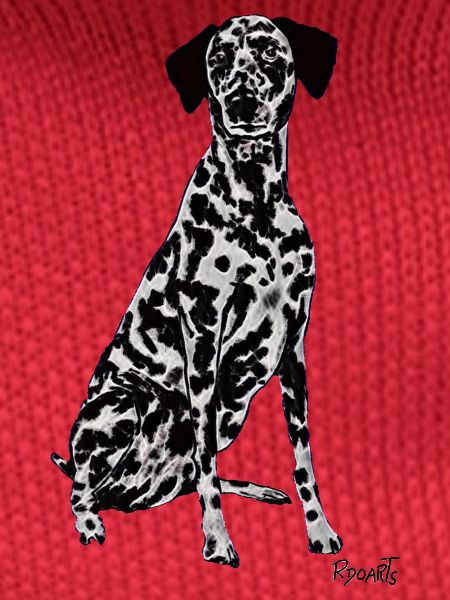 Beautiful Dalmatian dog