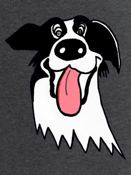 Border Collie mignon