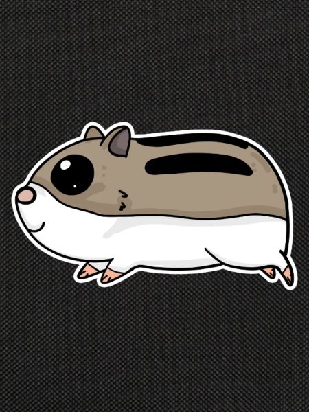 Cute hamster