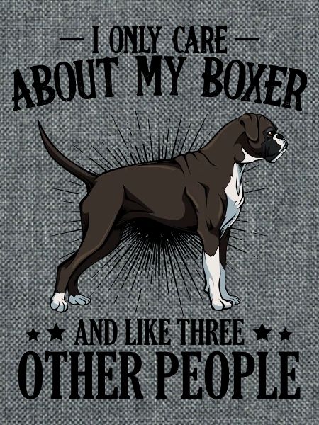 Boxer