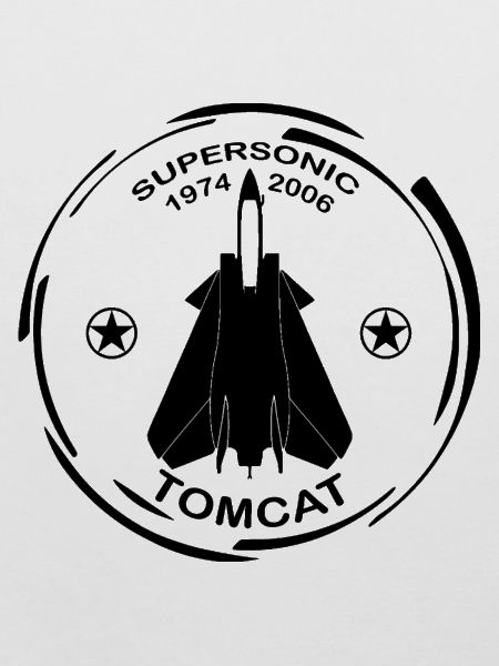 Avion F14 Tomcat