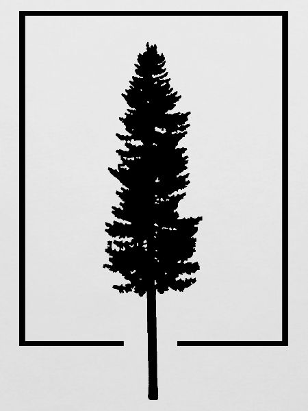 Tree in the box