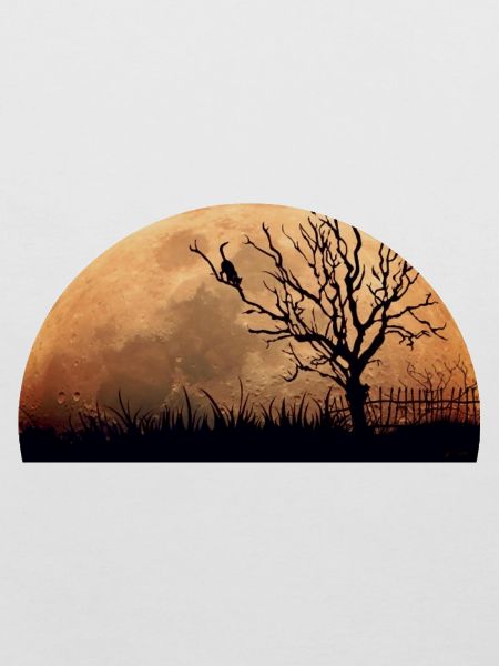 katze mond