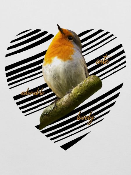 Rotkehlchen Singvogel