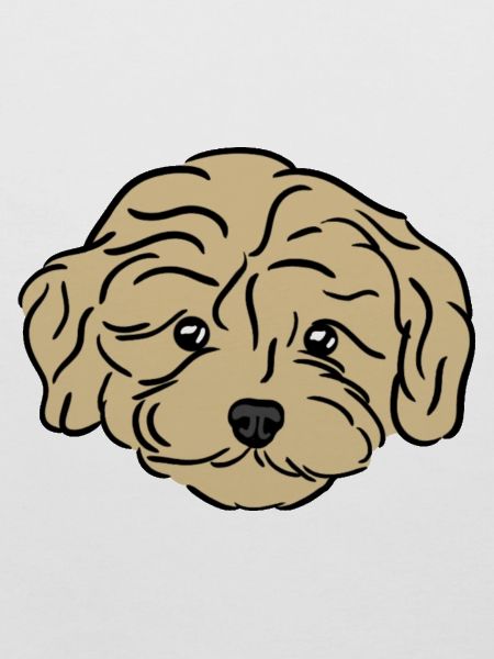 Doodle Puppy