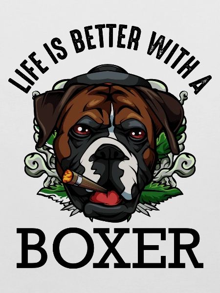 boxeur
