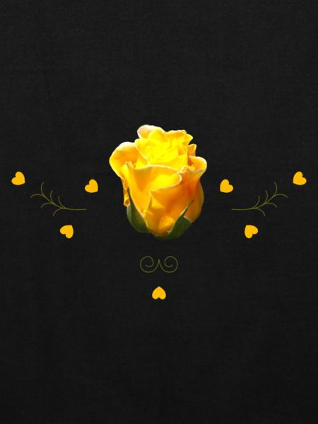 Rose gelbe Rose