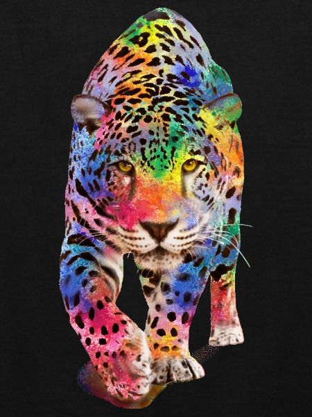 Multicolour leopard