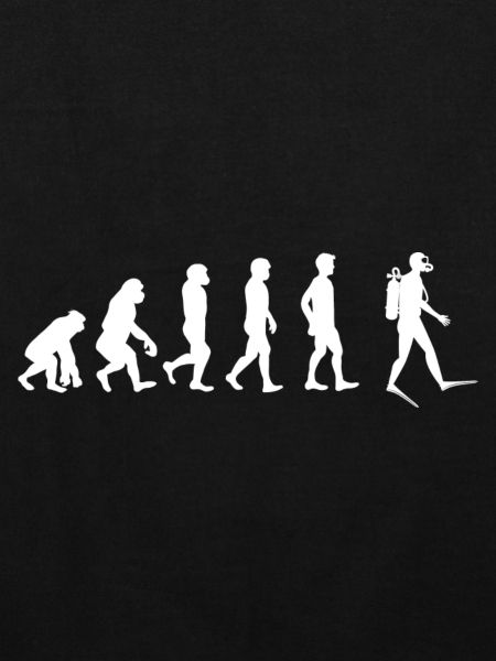 Taucher Evolution