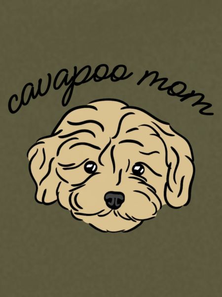 cavapoo mom