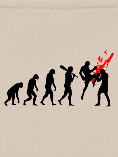 evolution kickboxer