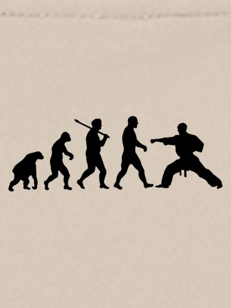 Evolution: Karate