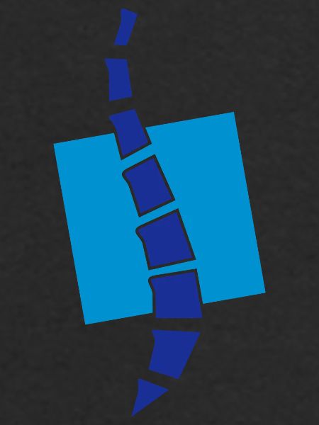 Physio 12 Logo
