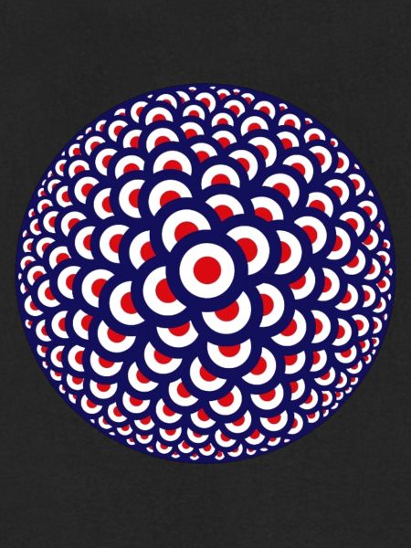 Mod Swarm