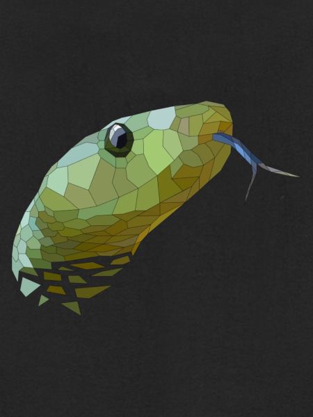 Schlange geometrisch Low Poly
