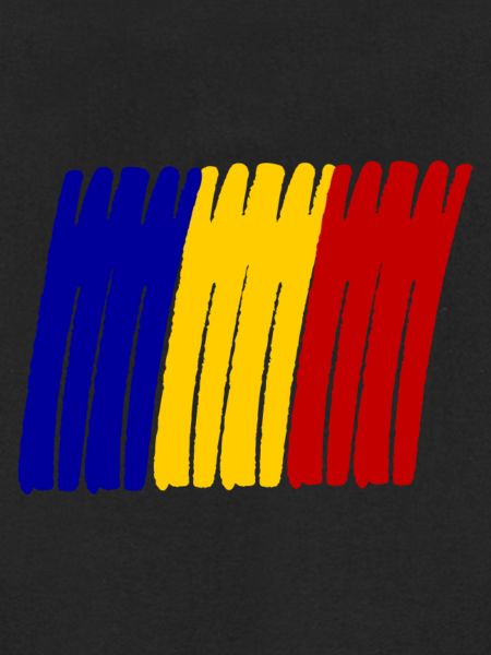 Rumänien painted Flag