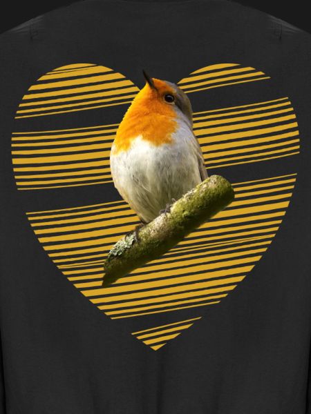 Rotkehlchen Singvogel süßer Vogel
