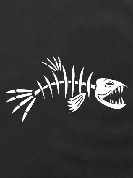 Fischgräte Fisch Skelett
